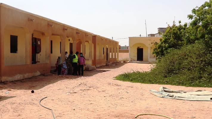 الأشجار تحتل باحة الاعدادية 