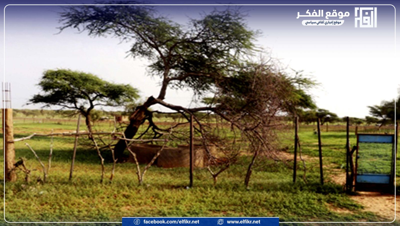 موسم الخريف فترة بيات شتوي للتعاونيات النسوية التي تترك مكانها للوراعة المطرية 