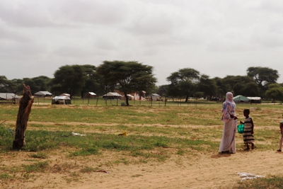 يخرج الإطفال لقطف الصمغ من الأشجار القريبة في قرية سكام 2