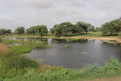 الطبيعة المعطاء في منطقة النهر وفرت بيئة ملائمة لنمو أشجار القتاد التي تدر الصمغ 